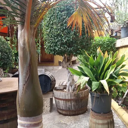 Finca Tasca Ma Lola Landhaus Güimar