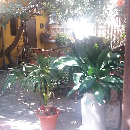 Finca Tasca Ma Lola Guimar