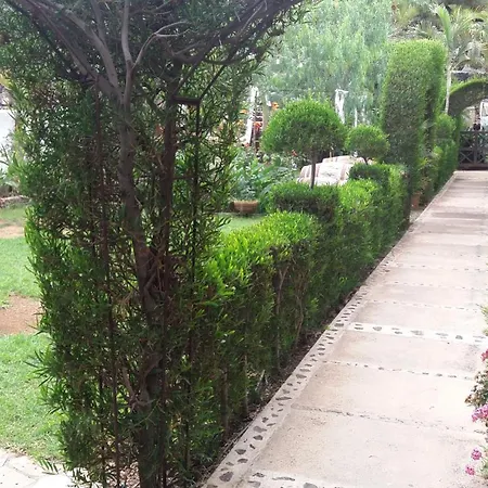 Finca Tasca Ma Lola Guimar